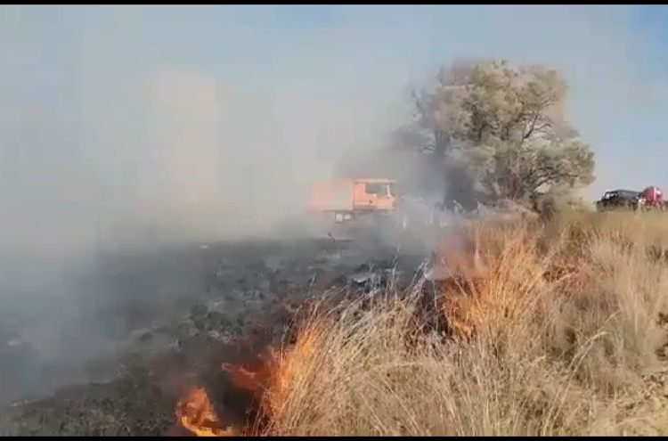 Globos incendiarios de Gaza provocan dos nuevos incendios en el sur de Israel