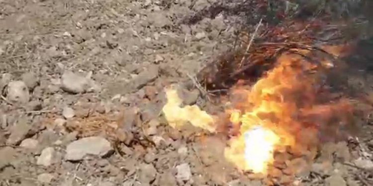 Vídeo muestra cómo un globo de Gaza inicia un incendio en Israel