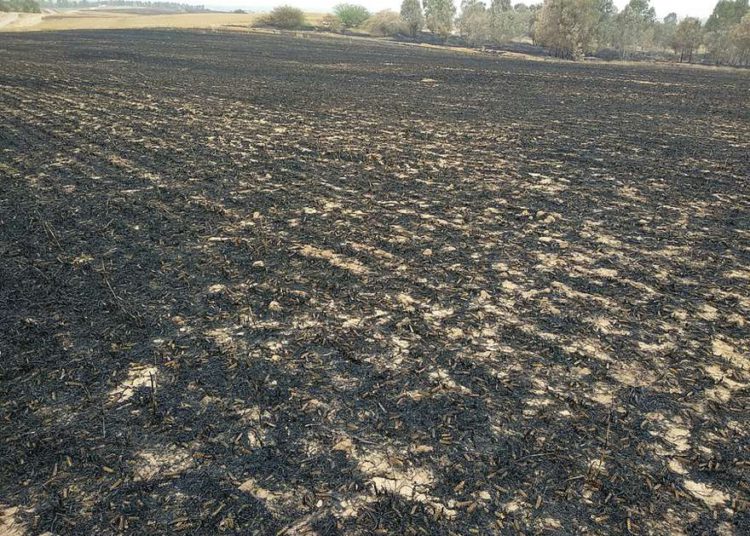1.400 incendios y miles de hectáreas afectadas en Israel