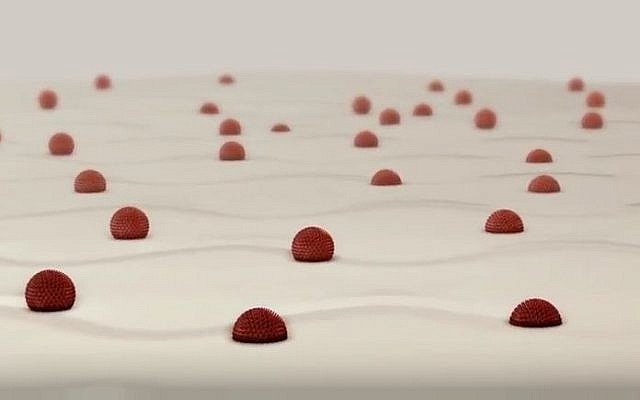 Una imagen ilustrativa de las partículas desarrolladas por la startup israelí Nobio Ltd. para combatir las bacterias (captura de pantalla de YouTube)