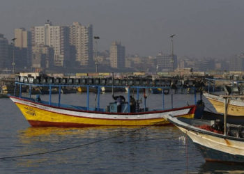 FDI advierte a los pescadores de Gaza que Hamas los está “explotando”