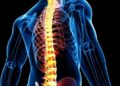 Estudio israelí encuentra una solución para la recuperación de lesiones en la médula espinal