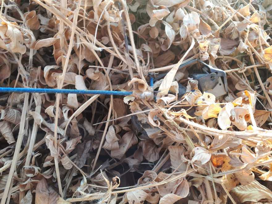 Globo que llevaba granada es encontrado cerca de la frontera de Gaza