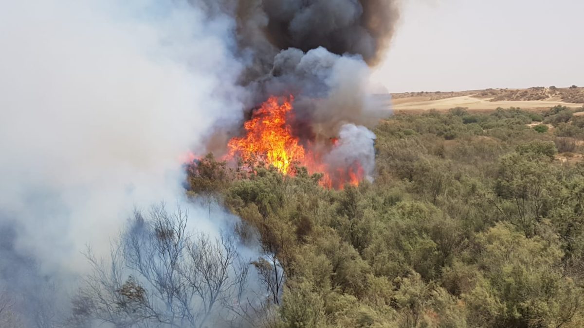 Globos incendiarios lanzados desde Gaza provocan 7 incendios en el sur de Israel