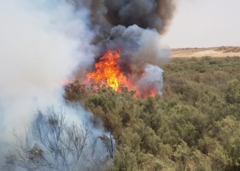 Globos incendiarios lanzados desde Gaza provocan 7 incendios en el sur de Israel