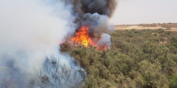Globos incendiarios lanzados desde Gaza provocan 7 incendios en el sur de Israel