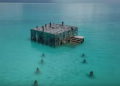 The Sculpture Coralarium de Jason deCaires Taylor en el complejo isleño de Fairmont Sirru Fen Fushi en las Maldivas. captura de pantalla: YouTube)
