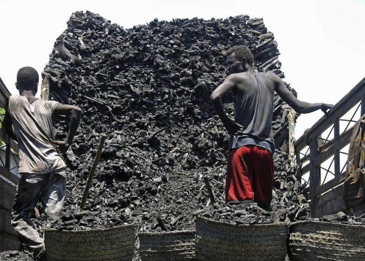 Informe de la ONU dice que Irán facilita la exportación de carbón vegetal somalí prohibido