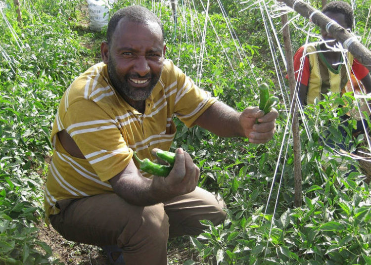 Nuevo programa de fondos utiliza tecnología israelí para ayudar a pequeños agricultores en África