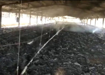 Árabes incendian miles de aves vivas en una granja israelí