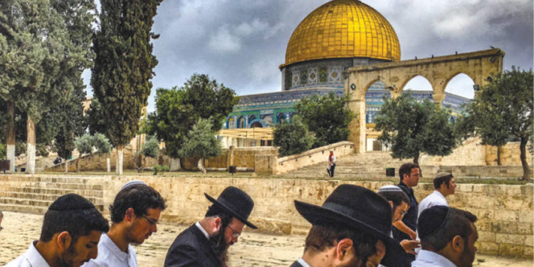 Israel Grupo de “expertos” perpetúan mitos sobre Oriente Medio y “Palestina”