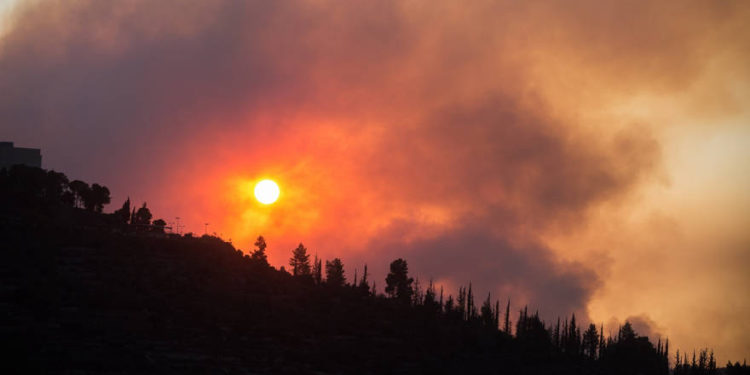 Gran incendio se desata en el Bosque de Jerusalem