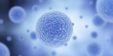 Científicos israelíes producen implantes de tejido personalizados, hechos con células del propio paciente