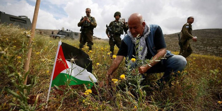 Autoridad Palestina planta 15 millones de árboles para apoderarse de la tierra en Judea y Samaria