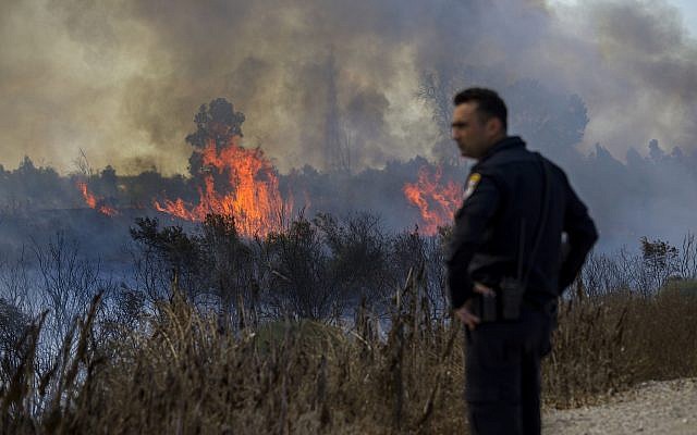 Un policía israelí observa un incendio iniciado por un globo con tela ardiente anexada lanzada por palestinos desde la Franja de Gaza en el parque natural de Karmia, cerca de Israel y la frontera de Gaza, el jueves 11 de octubre de 2018. (AP / Tsafrir Abayov)