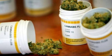 Siete startups israelíes que innovan el consumo de cannabis medicinal en el mundo
