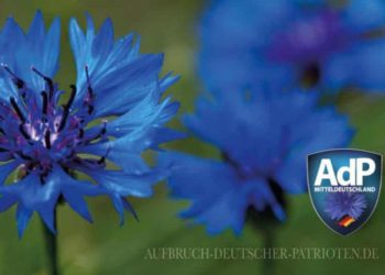 El logotipo de la fiesta El despertar de los patriotas alemanes presenta un aciano azul (Facebook)
