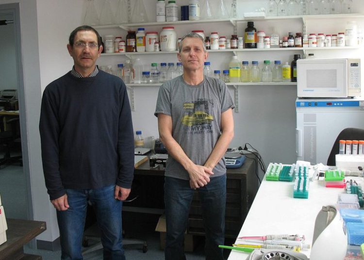 CEO y fundador de la startup Accelerated Evolution Biotechnologies Ltd. (AEBI) Ilan Morad, a la derecha, con Hanan Itzhaki, el director científico, en su laboratorio (Cortesía)