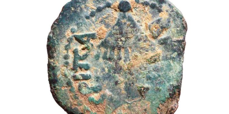 Un niño en viaje escolar descubre moneda de la era del Segundo Templo en arroyo de Israel