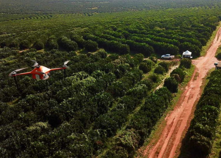 Startup israelí SeeTree apunta a un mejor rendimiento de los árboles frutales