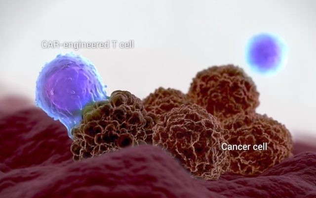 Kite Pharma desarrolla terapias celulares en las que las propias células inmunitarias del paciente combaten el cáncer. (Captura de pantalla de YouTube)