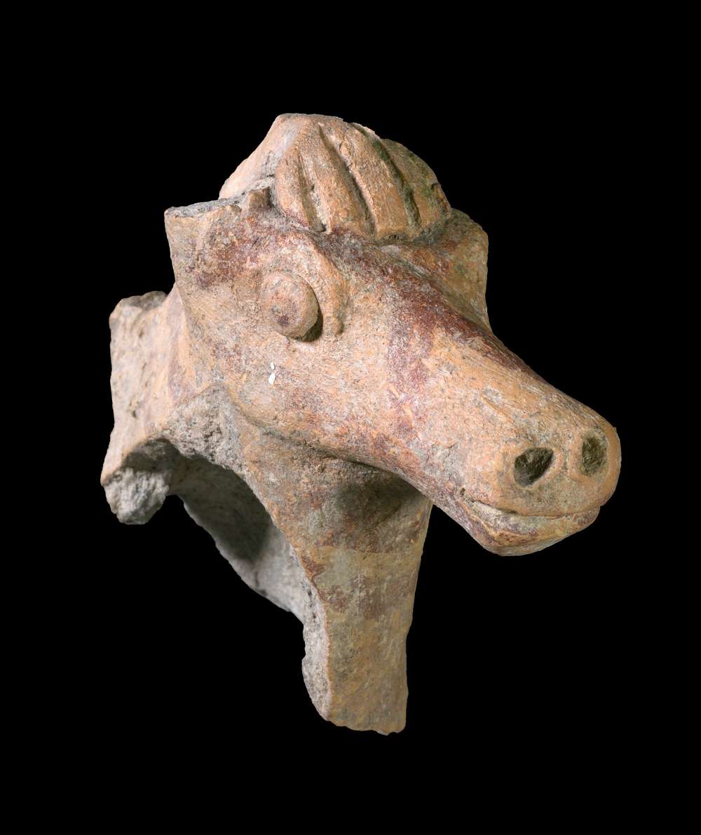 Estatuilla de caballo de la Edad de Hierro de 2.800 años de antigüedad que fue descubierta después de una lluvia cerca de Beit She'an. (Clara Amit, Autoridad de Antigüedades de Israel)