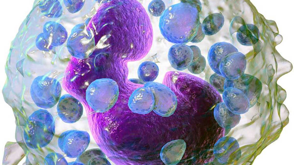 Científicos en Israel: las células desencadenantes de alergias podrían usarse para combatir el cáncer de colon