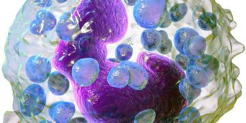 Científicos en Israel: las células desencadenantes de alergias podrían usarse para combatir el cáncer de colon