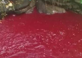En distintos lugares del mundo los ríos se han vuelto rojos como sangre