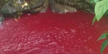 En distintos lugares del mundo los ríos se han vuelto rojos como sangre