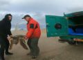 Se encontraron decenas de tortugas marinas heridas en la costa de Israel