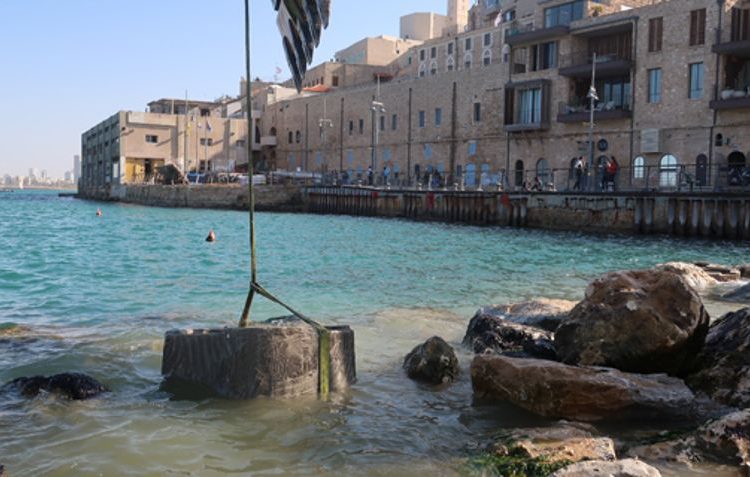 Instalación de las piscinas de marea de ECOncrete en Jaffa a principios de esta semana. De archivo: ECOncrete