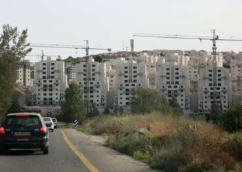 Arboleda conmemorativa de Israel al “Schindler japonés” fue arrasada para construir apartamentos