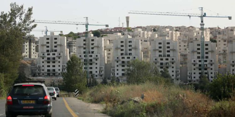 Arboleda conmemorativa de Israel al “Schindler japonés” fue arrasada para construir apartamentos