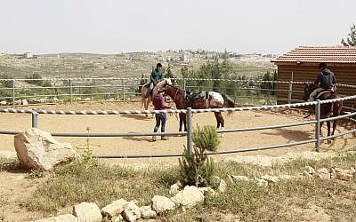 Ilustrativo: un establo de caballos ubicado en tierras privadas palestinas incautadas por el estado por motivos de seguridad en el asentamiento de Beit El en Cisjordania. (Jacob Magid / Tiempos de Israel)