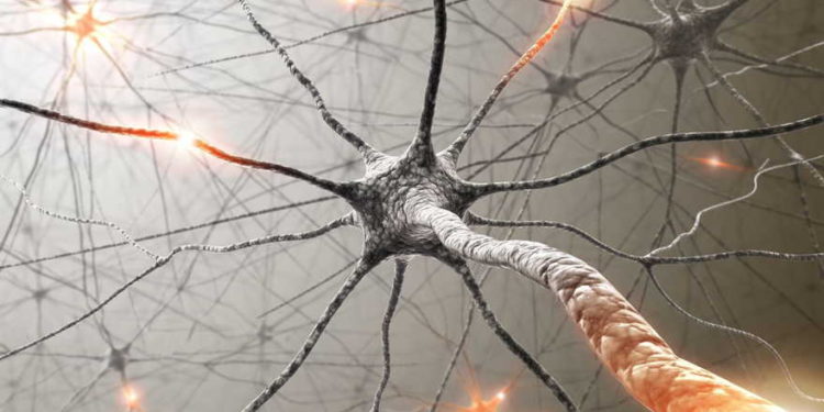 Tecnología de “nano-bala” dispara al cáncer de cerebro en la Universidad de Tel Aviv