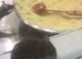 Domino's Pizza cierra la sucursal de Haifa luego de un video de ratas comiendo harina