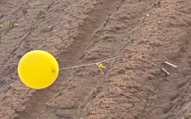 Un globo que lleva un presunto dispositivo explosivo de la Franja de Gaza aterriza en el sur de Israel el 20 de febrero de 2019. (Seguridad de Eshkol)