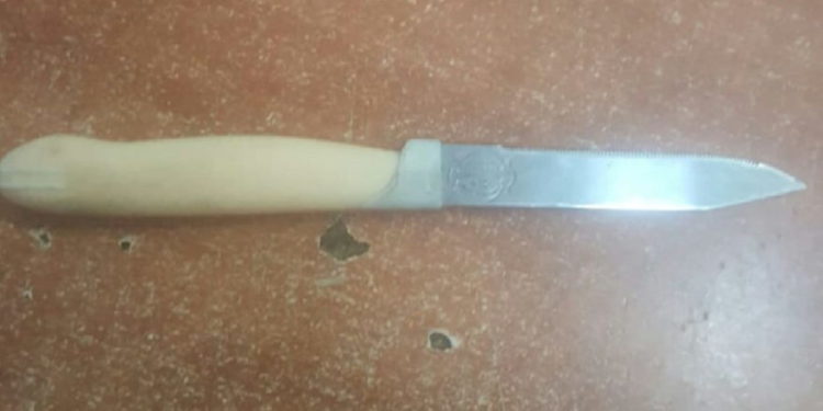 El cuchillo llevado por la mujer que intentó cometer un ataque de terror en Hebron. (Crédito de la foto: UNIDAD DE VOZ POLICÍA)