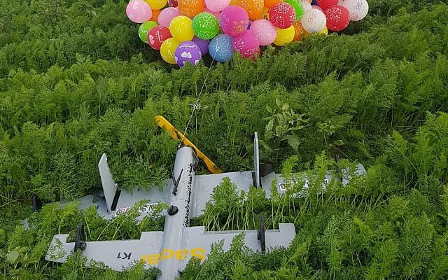 Un dispositivo con forma de avión no tripulado de la Franja de Gaza, transportado por docenas de globos de helio, aterriza en un campo de zanahorias en el sur de Israel el 6 de enero de 2019. (Cortesía)