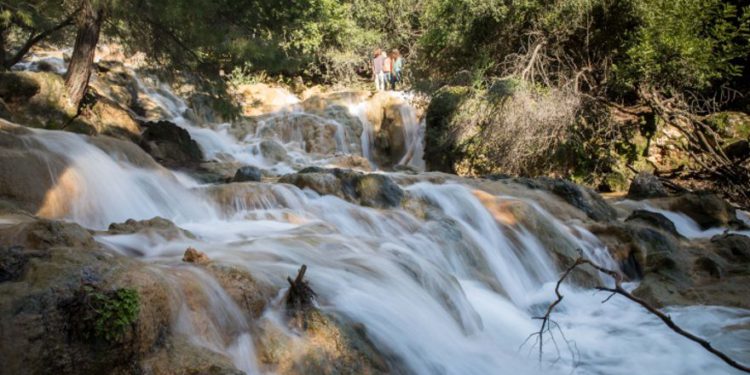 Las cascadas de Farod fluyen después de fuertes lluvias en la Baja Galilea el 19 de enero de 2019. (Hadas Parush / Flash90)