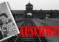 Nacida en Auschwitz, Vera Beins, Holocausto, Judíos