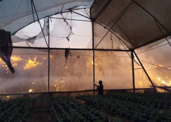 Cada explosión de mortero hace temblar la casa y el alma de nuestros hijos