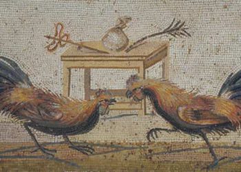 Un mosaico que representa a los gallos peleando, encontrado en Pompeya,