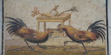 Un mosaico que representa a los gallos peleando, encontrado en Pompeya,