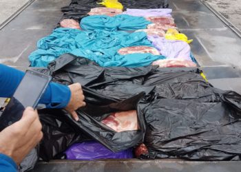 Los intentos se detuvieron para contrabandear carne no regulada en territorio israelí. (Crédito de la foto: MINISTERIO DE DEFENSA AUTORIDAD DE CRUCE)