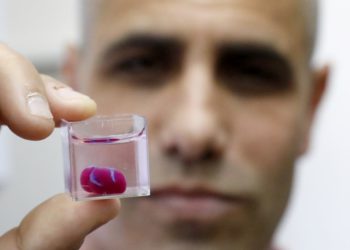 Después del éxito israelí por el Corazón impreso en 3D, surgen las preocupaciones éticas