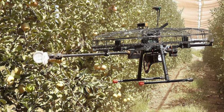 Empresa israelí desarrolla drones autónomos para cosechar los frutos