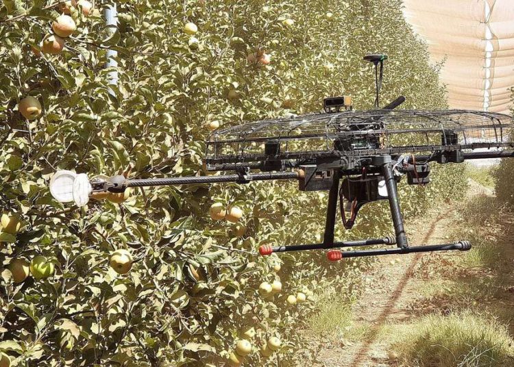 Empresa israelí desarrolla drones autónomos para cosechar los frutos