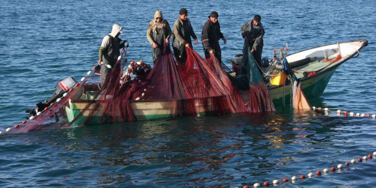 Israel extiende zona de pesca de Gaza a medida que se alivian las condiciones